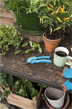 GARDENA - Classic B/S-M Bypass Snoeischaar - Ø 22mm - 25 Jaar Garantie 16 GARDENA - Classic B/S-M Bypass Snoeischaar - Ø 22mm - 25 Jaar Garantie -Tuinartikelen Winkel 800x1200 49