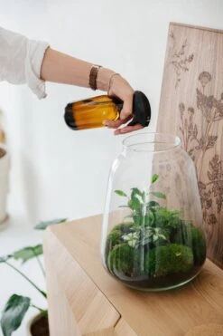 24DOTS Living Plantenspuit | 500 Ml Bruin Amber Glas | Plantensproeier | Plantenspuit Binnen | Waterverstuiver | Vernevelaar -Tuinartikelen Winkel 800x1200 78