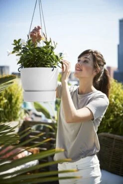 Elho Greenville Hangschaal 24 - Bloempot Voor Balkonbuiten - Ø 23.5 X H 20.5 Cm - Zwart/Living Black -Tuinartikelen Winkel 801x1200 7