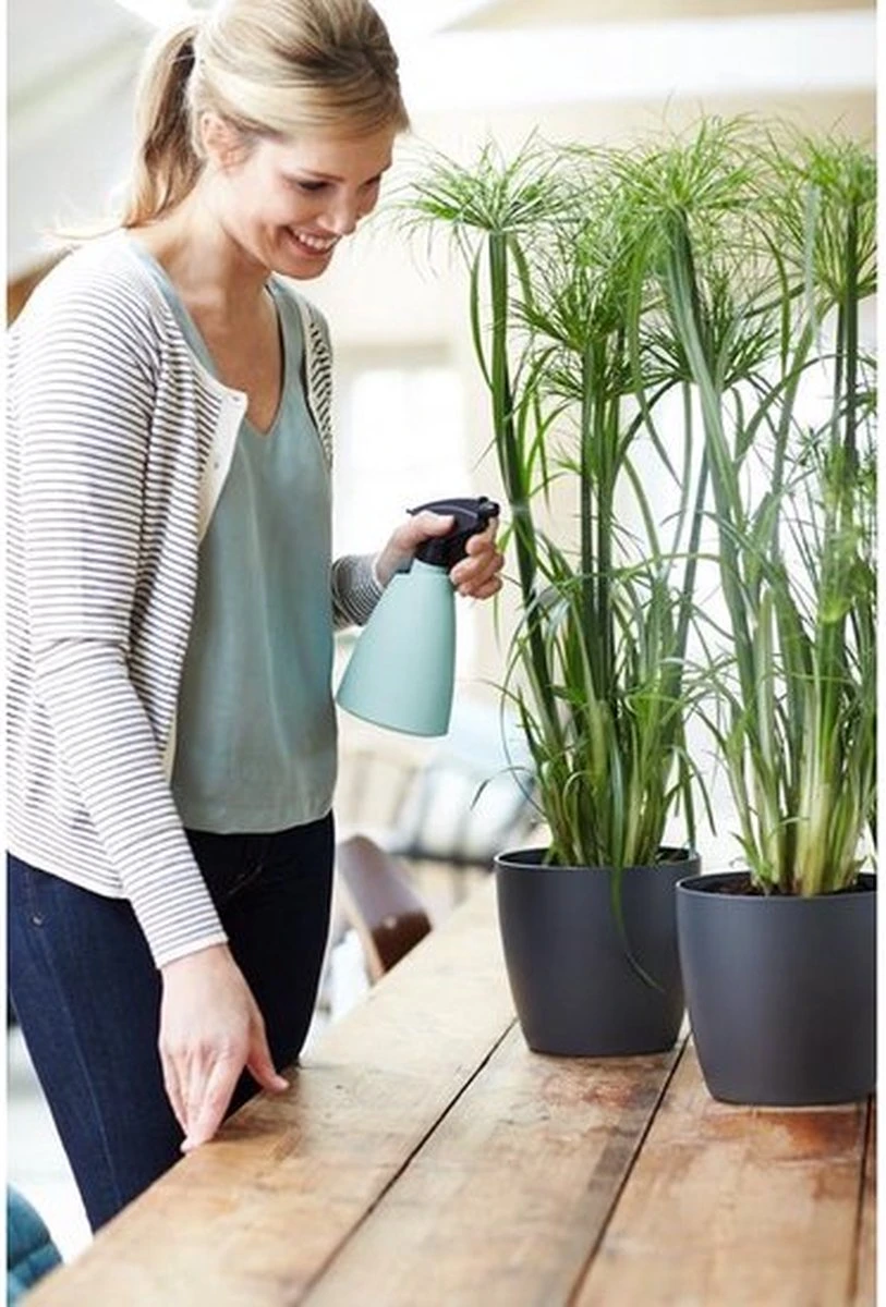 Elho Brussels Sprayer 12 - Plantenspuit Voor Binnen - Ø 11.3 X H 22.3 Cm - Groen/Mint 3 Elho Brussels Sprayer 12 - Plantenspuit Voor Binnen - Ø 11.3 X H 22.3 Cm - Groen/Mint - Image 3