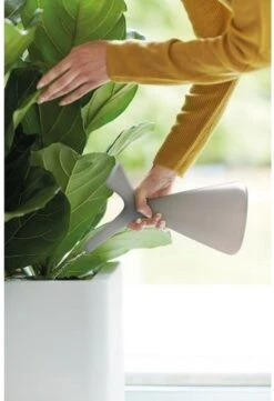 Elho Plunge Gieter 20 - Gieter Voor Binnenaccessoires - Ø 15.0 X H 29.5 Cm - Grijs/Warm Grijs -Tuinartikelen Winkel 820x1200 3