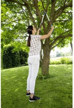 GARDENA - TeleCut Telescopische - Takkenschaar 520-670B - 42 Mm Verstelbare Lengte 14 GARDENA - TeleCut Telescopische - Takkenschaar 520-670B - 42 Mm Verstelbare Lengte -Tuinartikelen Winkel 826x1200 1