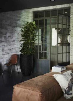 Capi Europe - Vaas Elegant Deluxe Rib NL - 40x60 - Zwart - Voor Binnen En Buiten - KBLR1131 26 Capi Europe - Vaas Elegant Deluxe Rib NL - 40x60 - Zwart - Voor Binnen En Buiten - KBLR1131 -Tuinartikelen Winkel 873x1200 2