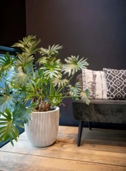 Capi Europe - Vaas Elegant Laag Groove NL - 46x58 - Goud - Voor Binnen En Buiten - KGVGB783 -Tuinartikelen Winkel 883x1200 3