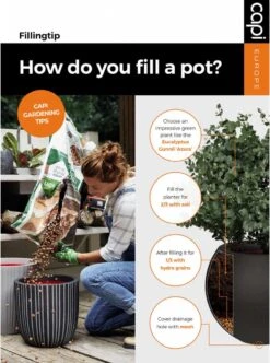 Capi Europe - Bloempot Vierkant Smooth NL - 50x50x50 - Zwart - Voor Binnen En Buiten - KBL904 -Tuinartikelen Winkel 892x1200 1