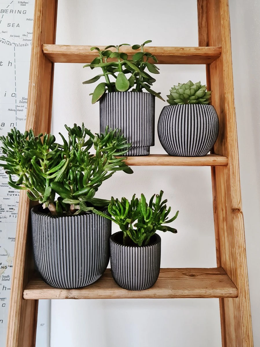 Capi Europe - Set Van 4 - Bloempot Binnen - Groove - Antraciet 4 Capi Europe - Set Van 4 - Bloempot Binnen - Groove - Antraciet - Image 4