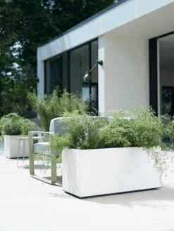 Elho Vivo Matt Finish Lang Wielen 90 - Grote Staande Plantenbak Voor Binnen & Buiten - Gemaakt Van Gereycled Plastic - L 39 X W 88 X H 41 Cm - Wit -Tuinartikelen Winkel 900x1200 23