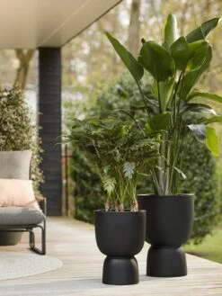 Elho Pure Coupe 41 - Bloempot Voor Binnen & Buiten - Ø 41.3 X H 57.9 Cm - Zwart/Zwart -Tuinartikelen Winkel 900x1200 24