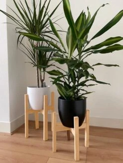 Plantenstandaard | Set Van 2 | Diameter Tot 24 Cm | Plantenkruk | Bloempotten Voor Binnen | Plantentafeltje Voor Binnen | Bloempot Standaard | Plantenstandaard Binnen | Hout | Licht Bruin 7 Plantenstandaard | Set Van 2 | Diameter Tot 24 Cm | Plantenkruk | Bloempotten Voor Binnen | Plantentafeltje Voor Binnen | Bloempot Standaard | Plantenstandaard Binnen | Hout | Licht Bruin -Tuinartikelen Winkel 900x1200 29