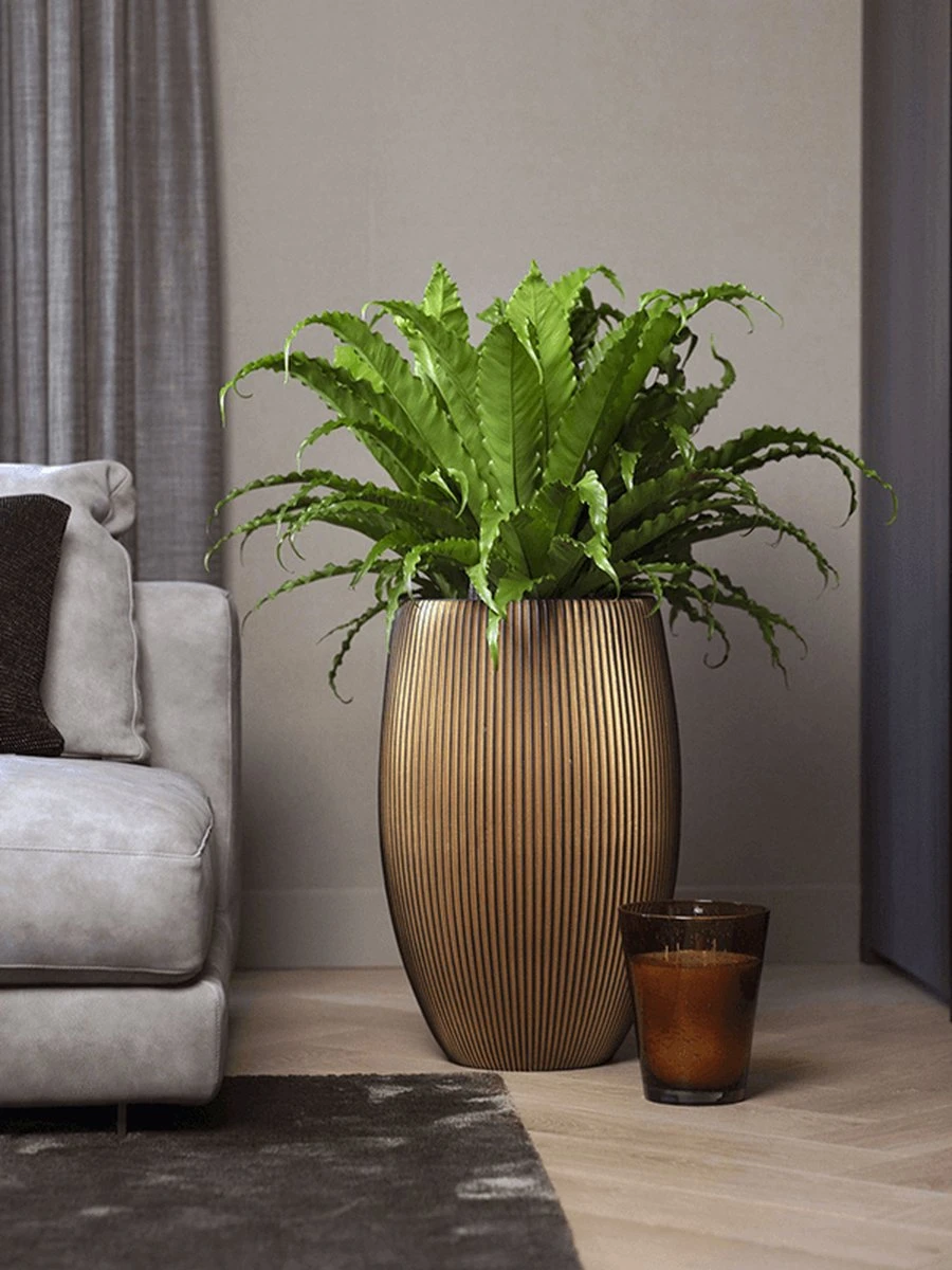 Capi Europe - Vaas Elegant Deluxe Groove XL - 40x61 - Goud - Bloempot Voor Binnen - Opening ⌀29 - GVGB1131 2 Capi Europe - Vaas Elegant Deluxe Groove XL - 40x61 - Goud - Bloempot Voor Binnen - Opening ⌀29 - GVGB1131 - Image 2