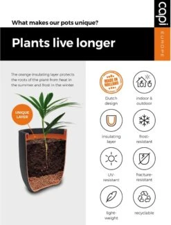 Capi Europe - Bloempot Vierkant Smooth NL - 50x50x50 - Zwart - Voor Binnen En Buiten - KBL904 -Tuinartikelen Winkel 916x1200 2