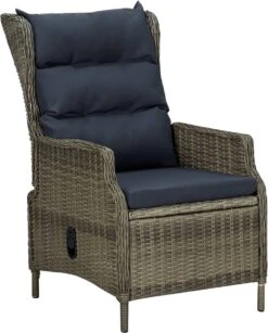 VidaXL 5-delige Tuinset Poly Rattan Bruin 17 VidaXL 5-delige Tuinset Poly Rattan Bruin -Tuinartikelen Winkel 967x1200