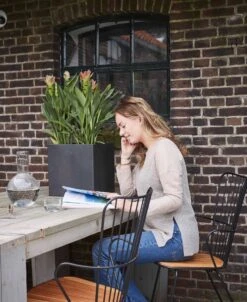 Capi Europe - Bloempot Vierkant Smooth NL - 50x50x50 - Zwart - Voor Binnen En Buiten - KBL904 -Tuinartikelen Winkel 983x1200 2