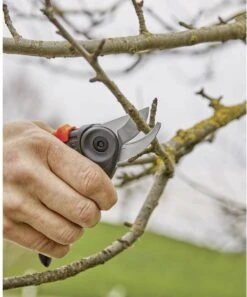 GARDENA - ExpertCut - Snoeischaar - 22 Diameter Tak -Tuinartikelen Winkel 999x1200